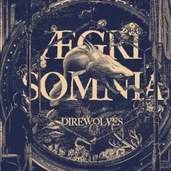 Aegri Somnia by Direwolves