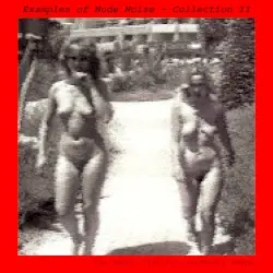 Examples of Nude Noise - Collection II by The Beast That Killed Bunny Downe