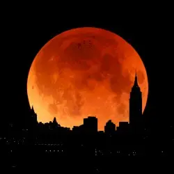 I Am The Moon, Walk All Over Me by BRANDO