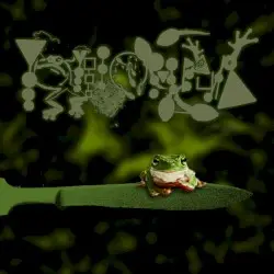 Amphibians Performing Surgery III: Murrexic Behaviour by Phyllomedusa