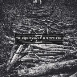 8493 by thisquietarmy x Sleepwalker