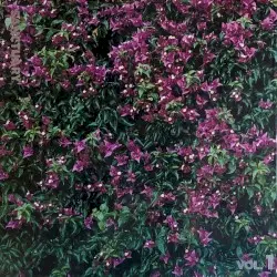 Sanctuary, Vol. 1: 78violet (The Unreleased Record) by Aly & AJ