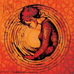 Riddle Me Sane by Steven Rutter