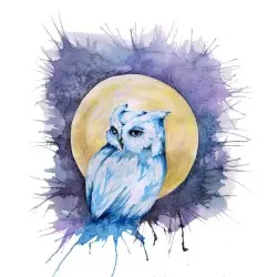 Owls by Cats Never Die