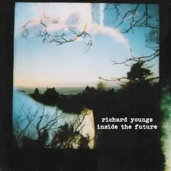 Inside the Future by Richard Youngs