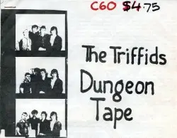 Dungeon Tape by The Triffids