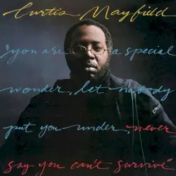 Never Say You Can’t Survive by Curtis Mayfield