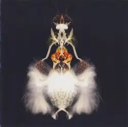 Fyuti by Bola