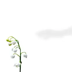 Existentialism by Sinobus