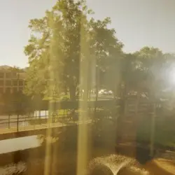 Subscription Feed .MP4 Boardwalk Epistemology by Orlando Turnpike— Celebration