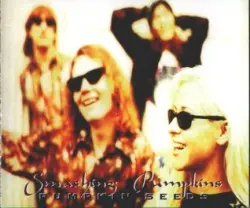 Pumpkin Seeds by The Smashing Pumpkins