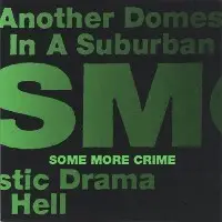 Another Domestic Drama in a Suburban Hell by Some More Crime