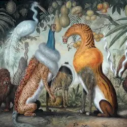 Magická Džungl’a by ZAÄAR