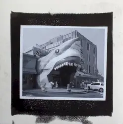 Shark Tour by Trouble in the Wind
