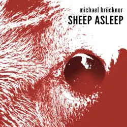 Sheep Asleep by Michael Brückner