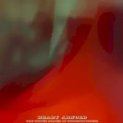 The United States of Unconsciousness by Brady Arnold