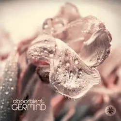 Absorbient by Germind