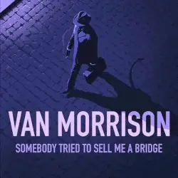Somebody Tried to Sell Me a Bridge by Van Morrison