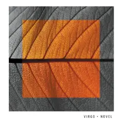 Novel by Virgo