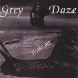 Wake Me by Grey Daze