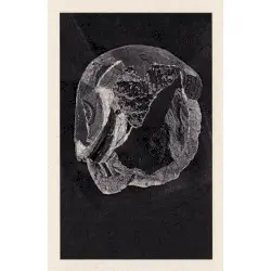 Le Voile by Philip Sulidae