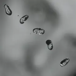 Up by Peter Gabriel