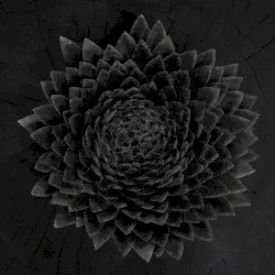 Obsidian by Jónsi