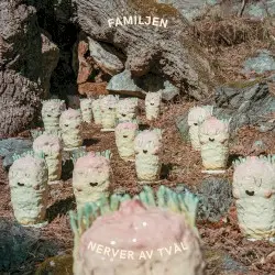 Nerver av tvål by Familjen