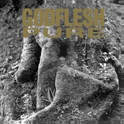 Pure by Godflesh