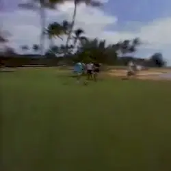 Golf Camp: Second Edition by Links '98 & F-F-Forecast!