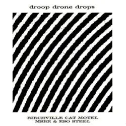 Droop Drone Drops by Birchville Cat Motel / MSBR & Eso Steel