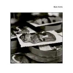 Mark Hollis by Mark Hollis
