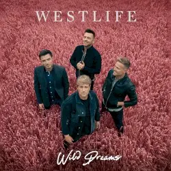 Wild Dreams by Westlife
