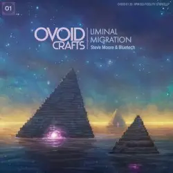 Liminal Migration by Steve Moore & Bluetech