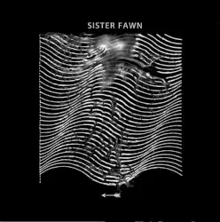 Sister Fawn by Full of Hell · Merzbow
