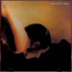 On the Sunday of Life… by Porcupine Tree