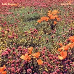 Late Bloom by CoryaYo