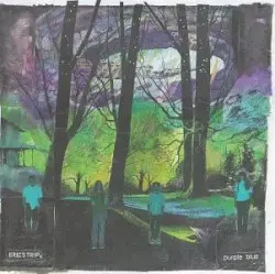 Purple Blue by Eric’s Trip