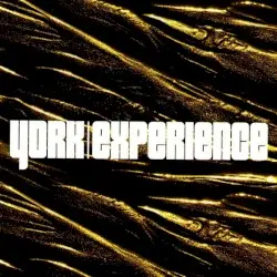 Experience by York