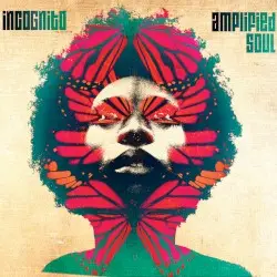 Amplified Soul by Incognito