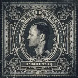 Authentic by Promo