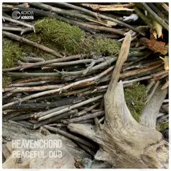 Peaceful Dub by Heavenchord