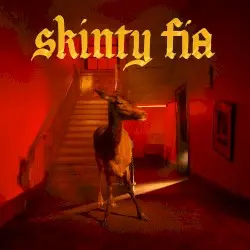 Skinty Fia by Fontaines D.C.