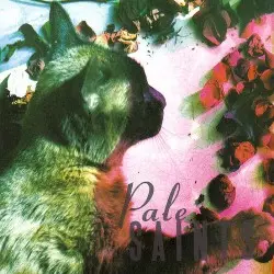 The Comforts of Madness by Pale Saints