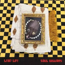 Leap Life by Saul Williams