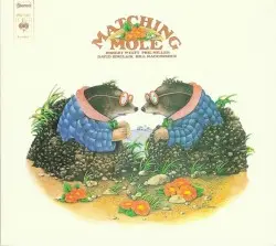 Matching Mole by Matching Mole