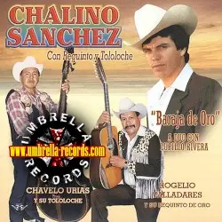 Baraja de oro con requinto y tololoche by Chalino Sánchez