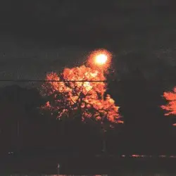 springnight moment by Sadness / Along Memories