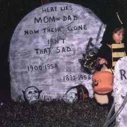 The Spirit of the Beehive by The Spirit of the Beehive