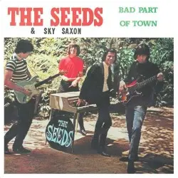 Bad Part Of Town by The Seeds & Sky Saxon